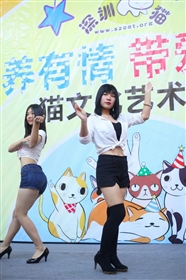 12月21日中心城深圳猫网猫文化节暨大型领养日猫女郎舞蹈MV