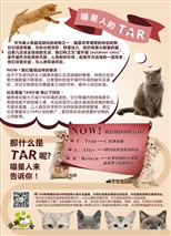7月18日深圳猫网社区文明养宠宣传活动召集义工