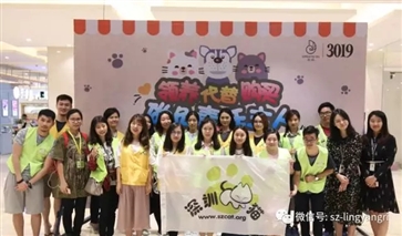 第51届深圳领养日活动回顾 | 4·16君尚3019“人猫面对面”