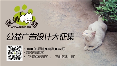 【深圳猫网】公益广告设计大征集开始了！