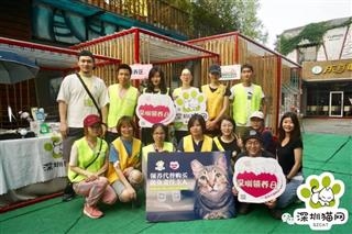 第69届深圳领养日回顾：被猫咪围绕着的猫咪